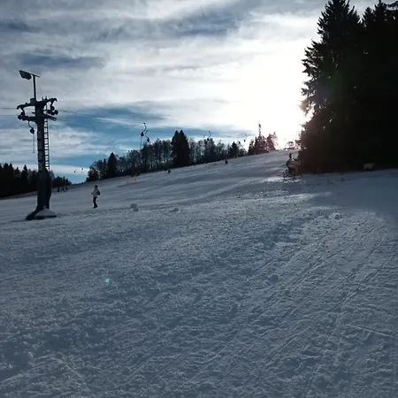 Hortenzie *