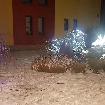 Hortenzie