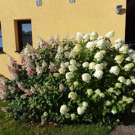 Apartment Hortenzie Kasperske Hory