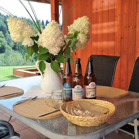 Hortenzie Kasperske Hory