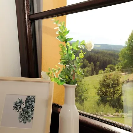 Hortenzie * Kasperske Hory