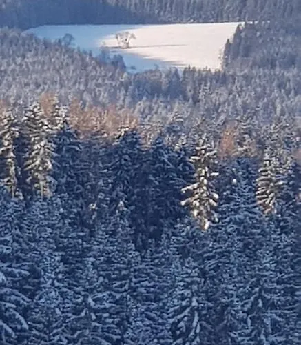 Hortenzie Lejlighed Kasperske Hory