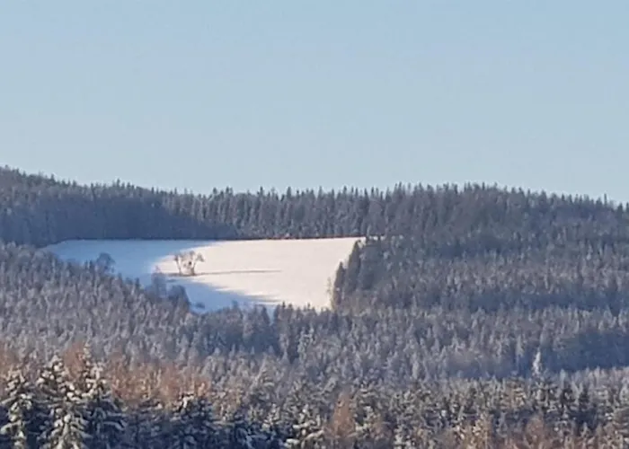 Lägenhet Hortenzie Kasperske Hory