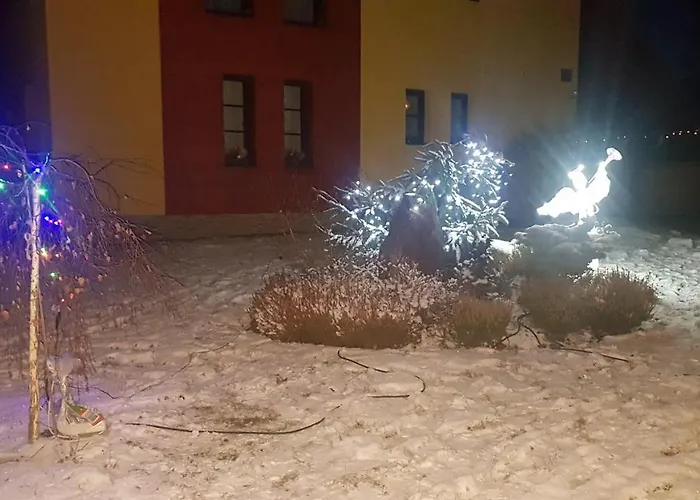 Hortenzie